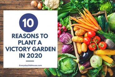 Vegetable gardening and its benefits - why you should plant a Victory Garden this spring #veggies #gardening #healthy