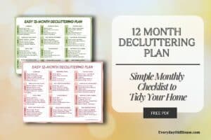 12 month decluttering calendars for download in salmon and green colors.