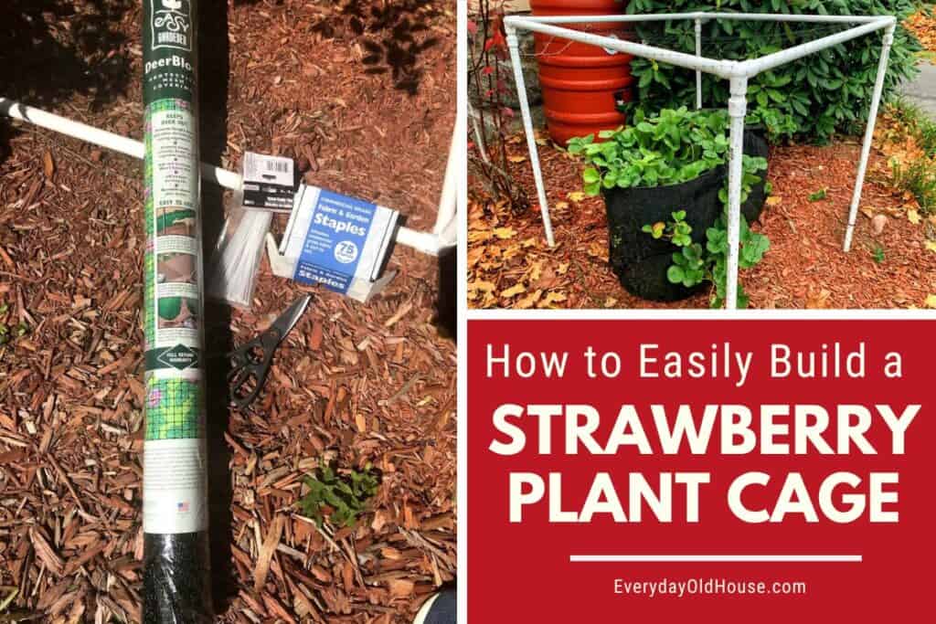 DIY strawberry plant cage