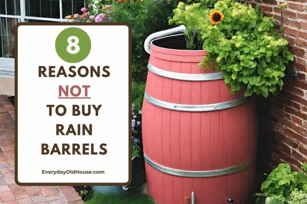 pretty rain barrel with landscaping with title that reads 8 reasons not to buy rain barrel.  disadvantages of rain barrels