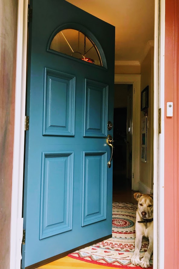 We fell in love with Behr Shipwreck paint color for our entrance.  Gives the pop and curb appeal our home needed, plus brings out the color in the entranceway rug.  And I think our dog approves! #Behr @Behrpaint