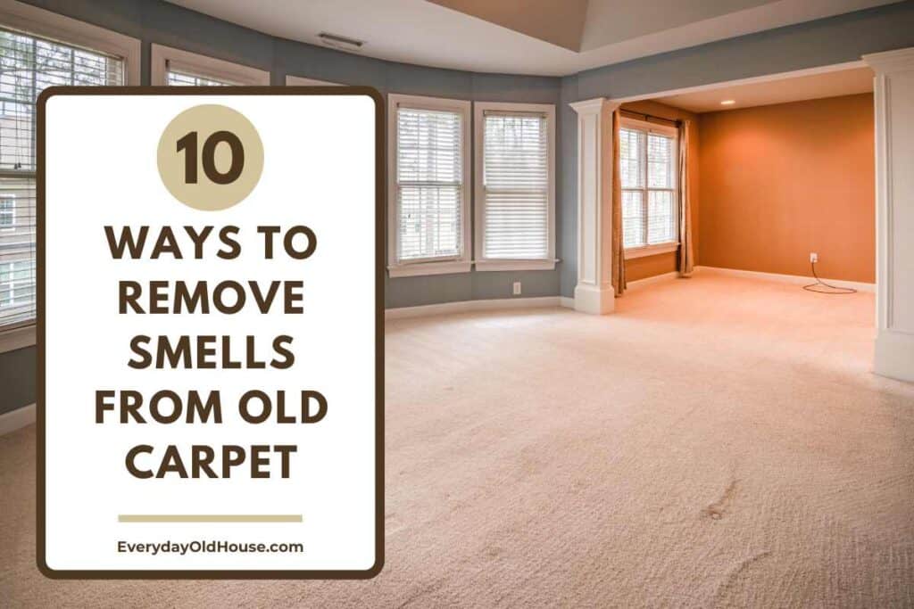 picture of room with old carpet with title "10 ways to remove smells from old carpet"