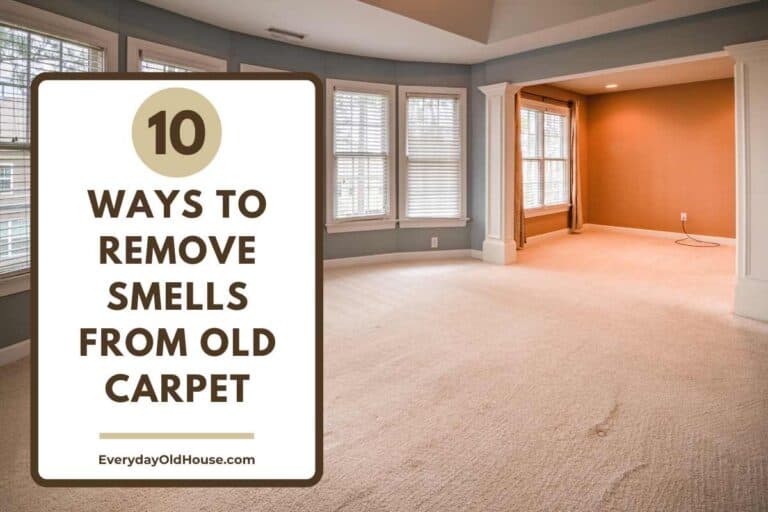 how-to-get-rid-of-stale-milk-smell-from-carpet