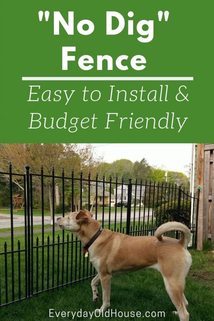 Easy to install, this fence is perfect for dog runs and add curb appeal #nodig #curbappeal #dogrun #ironcraftfences