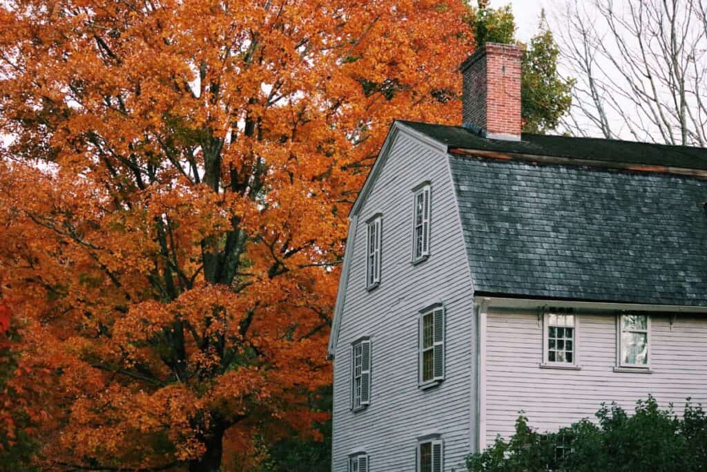 old white house with majestic tree with red autumn leaves behind it