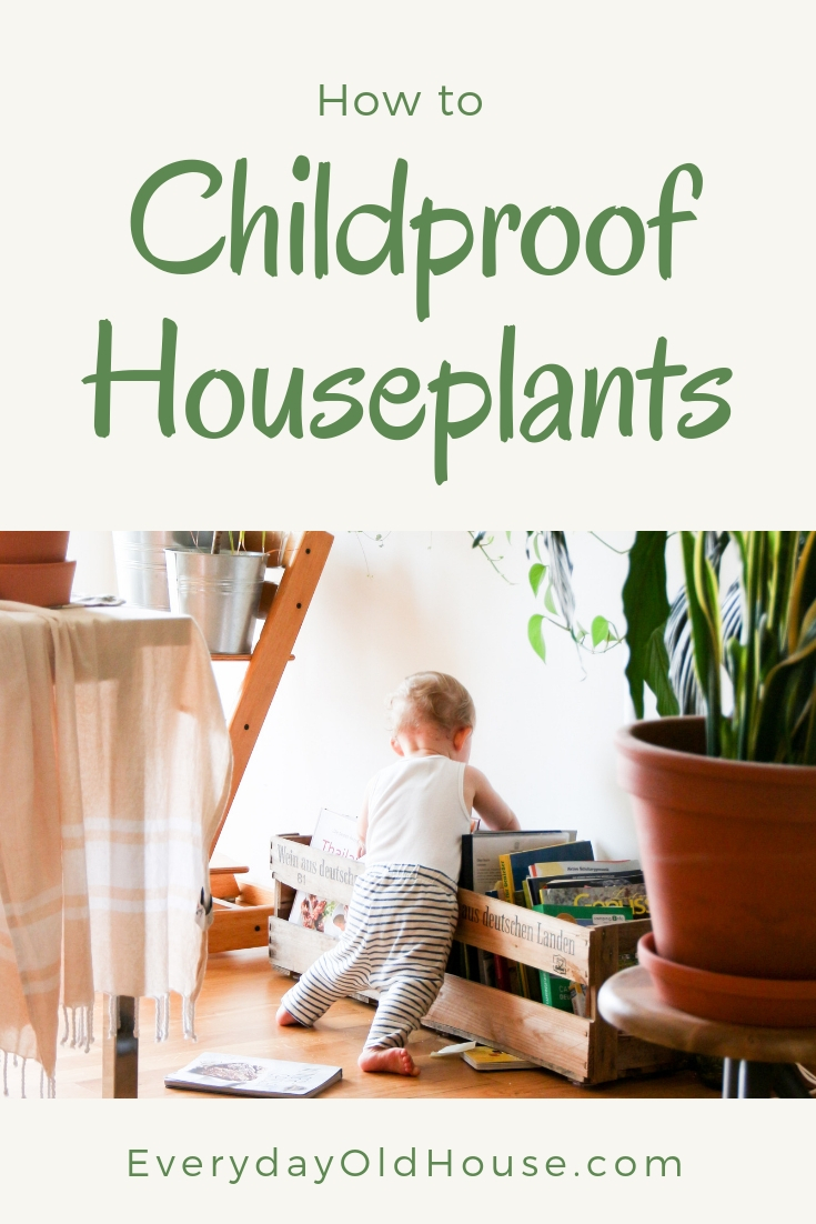 How To Childproof Houseplants DIY #childproofDIY #petproofplants #houseplants #babyproof