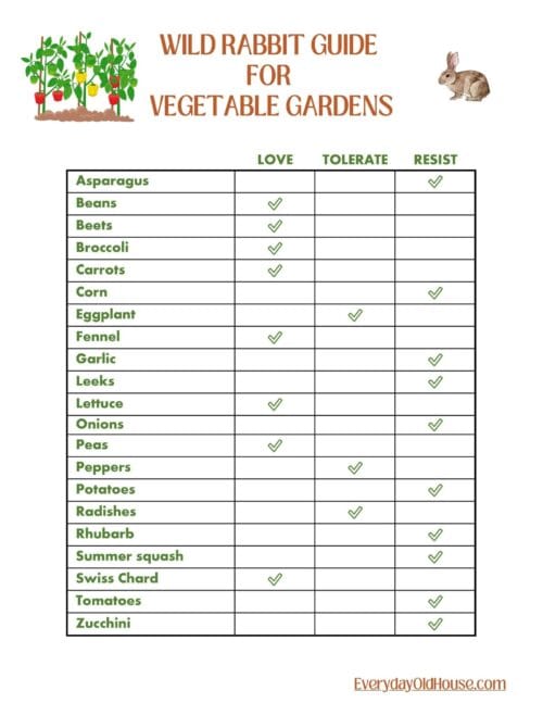 10 Rabbit Resistant Vegetable Plants [Printable List] - Everyday Old House