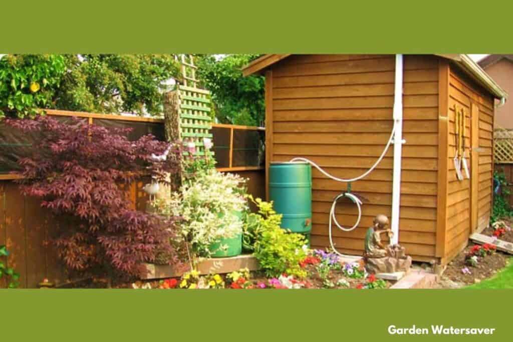 Rain barrel divertered to back of shed to hide it from view.  courtesy of garden watersaver