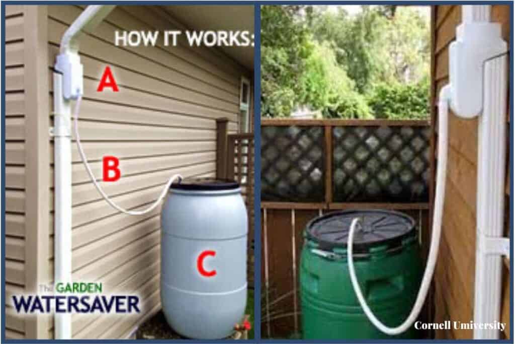 rain barrel with diverter to help it hide around a corner and not be an eyesore in front yard