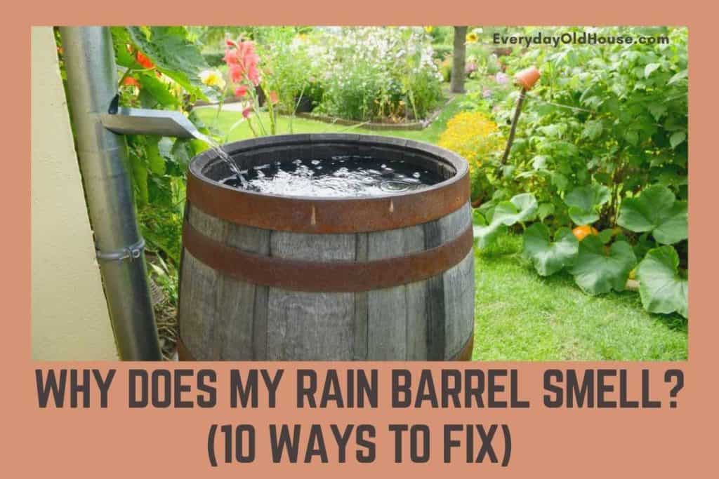 why does my rain barrel smell? with 10 ways to fix