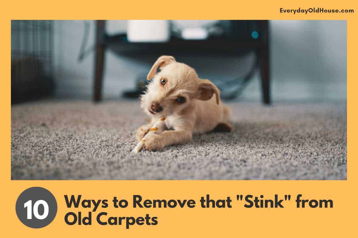 10 Ways to Get Rid of Old Smells from Carpets Everyday Old House