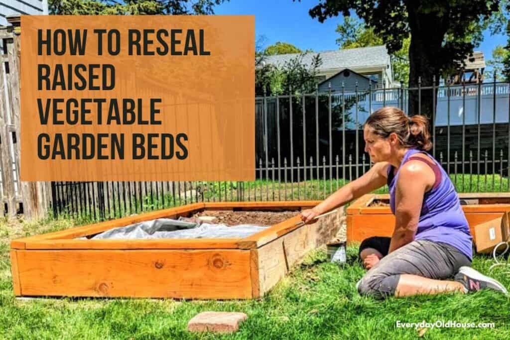 woman sitting on grass resealing wood on raised vegetable garden bed