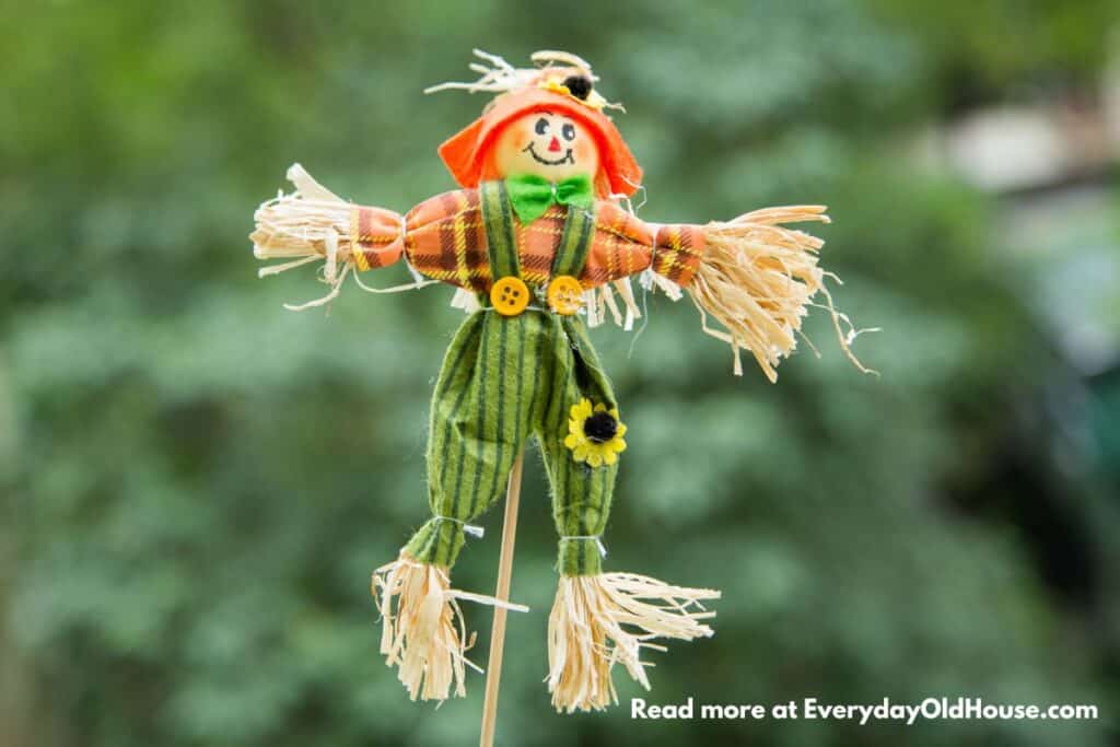 homemade scarecrow protecting garden and scaring birds