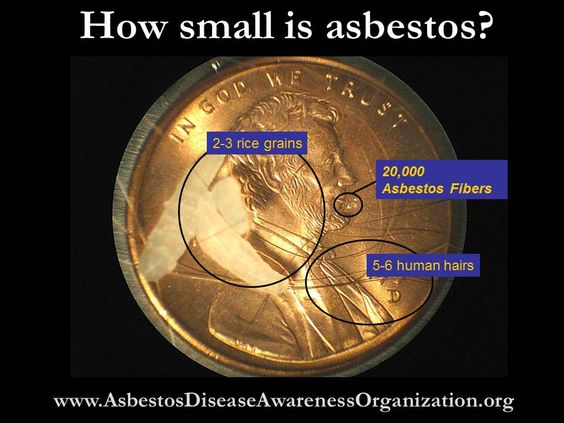 Size of asbestos fibers in comparison to penny and human hair #asbestosfibers #howsmallisasbestos