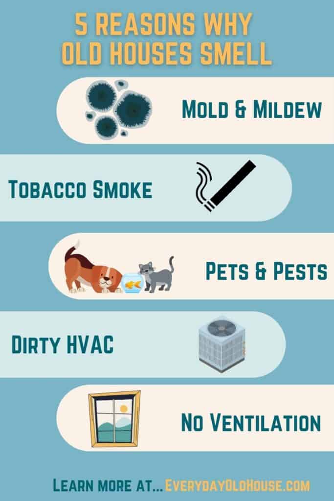 infograph on why old houses smell